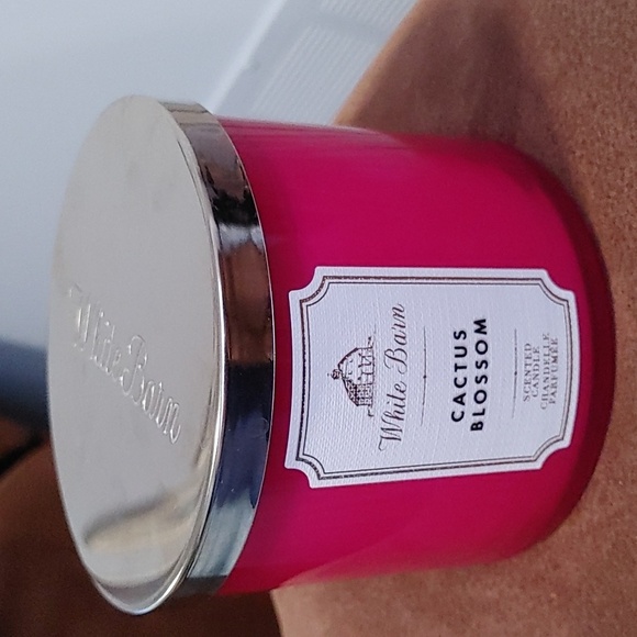 NEW White Barn Cactus Barn Scented Candle - Picture 1 of 7